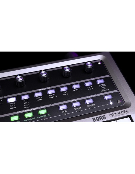MICROKORG 2 estándar