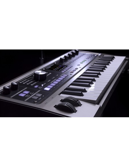 MICROKORG 2 estándar