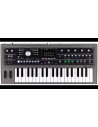 MICROKORG 2 estándar