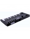 MICROKORG 2BK