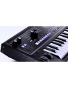 MICROKORG 2BK