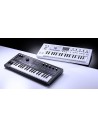 MICROKORG 2BK