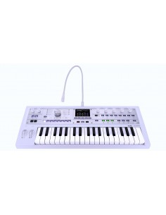MICROKORG 2 WH 2