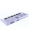 MICROKORG 2 WH