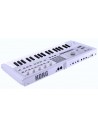 MICROKORG 2WH