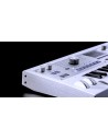 MICROKORG 2WH
