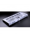 MICROKORG 2WH
