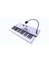 KINGKORG NEO