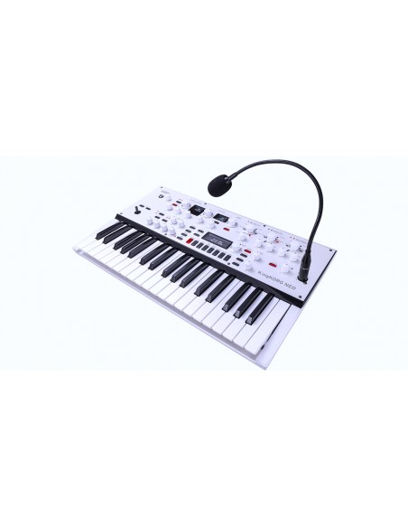 KINGKORG NEO
