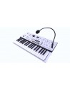 KINGKORG NEO