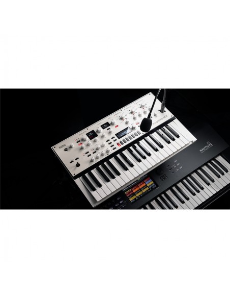KINGKORG NEO