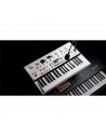 KINGKORG NEO
