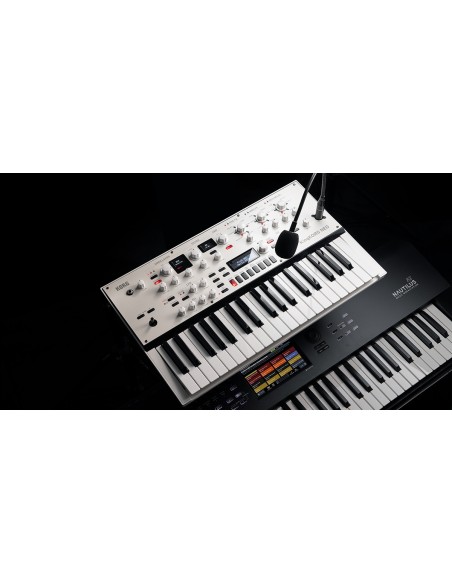 KINGKORG NEO