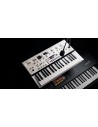 KINGKORG NEO