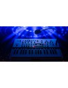 KINGKORG NEO