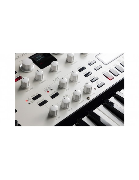 KINGKORG NEO