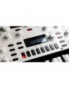 KINGKORG NEO