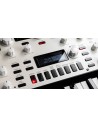 KINGKORG NEO
