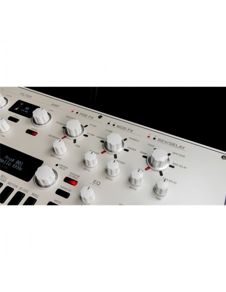 KINGKORG NEO