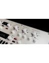 KINGKORG NEO