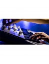 KINGKORG NEO