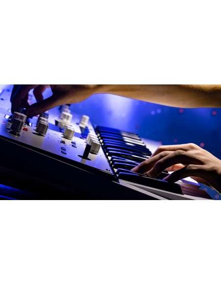 KINGKORG NEO