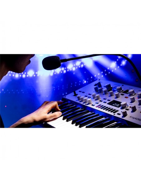 KINGKORG NEO