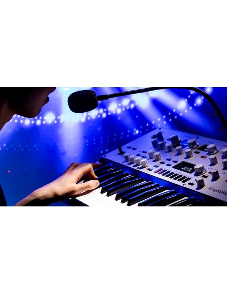 KINGKORG NEO