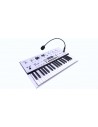 KINGKORG NEO