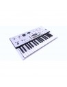 KINGKORG NEO