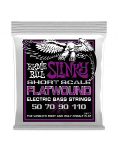 Ernie Ball 2817 Slinky...