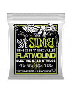 Ernie Ball 2818 Slinky...