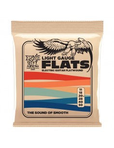 Ernie Ball 2580 Light Flat...