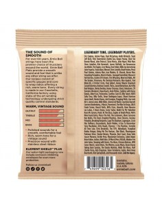 Ernie Ball 2580 Light Flat... 2