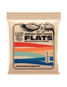 Ernie Ball 2582...