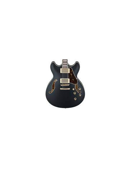 Ibanez AS73GBKF