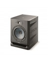 Focal Alpha 80 Evo
