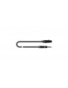 ITST/FJS-0,3 B XLR Femmina/Jack Stereo 30 cm