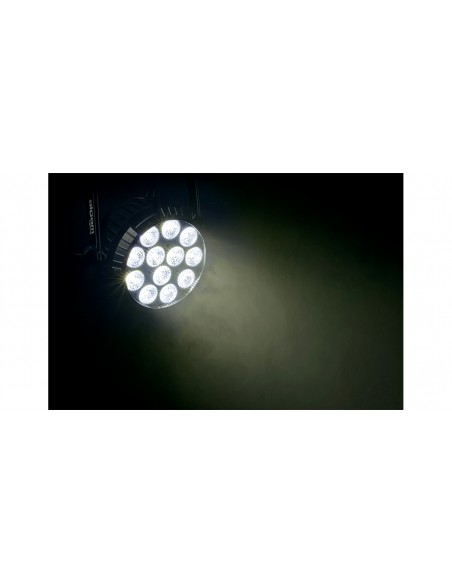 IP-PAR-1212-HEX IP Par LED 12x12W IP65