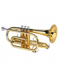 CR-8356 - laccata Alysée