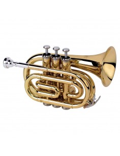 TR-6500 - laccata Alysée