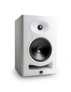 LP-6W  V2 - Monitor biamplificato da studio  6