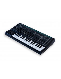 PWM MALEVOLENT - Sintetizzatore analogico PWM