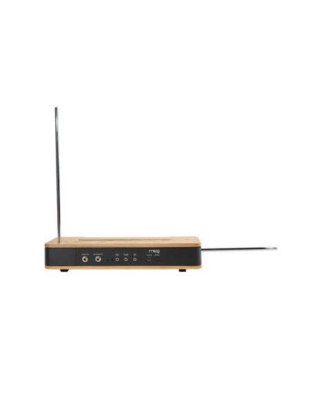 Moog Etherwave Theremin