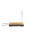 Moog Etherwave Theremin
