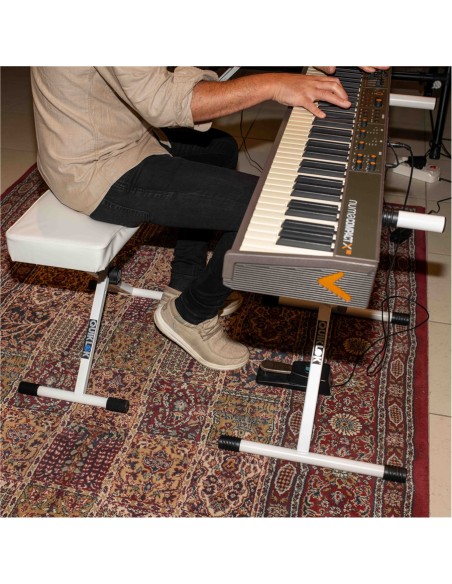 BX8-WH-BB Panchetta Serie Basic