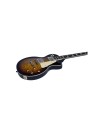 LS-300 Honey Burst