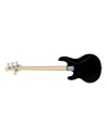 StingRay RAY2 Noir