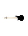 StingRay RAY2 Black