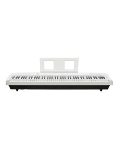 Echord DP-1 White